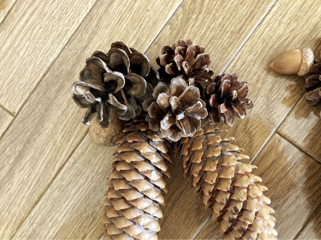 Amazon.co.jp: ドイツトウヒ 松ぼっくり どんぐり クリスマス スワッグ